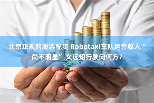 北京正规的股票配资 Robotaxi车队运营收入“尚不明显” 文远知行驶向何方？