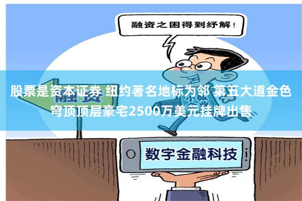 股票是资本证券 纽约著名地标为邻 第五大道金色穹顶顶层豪宅2500万美元挂牌出售