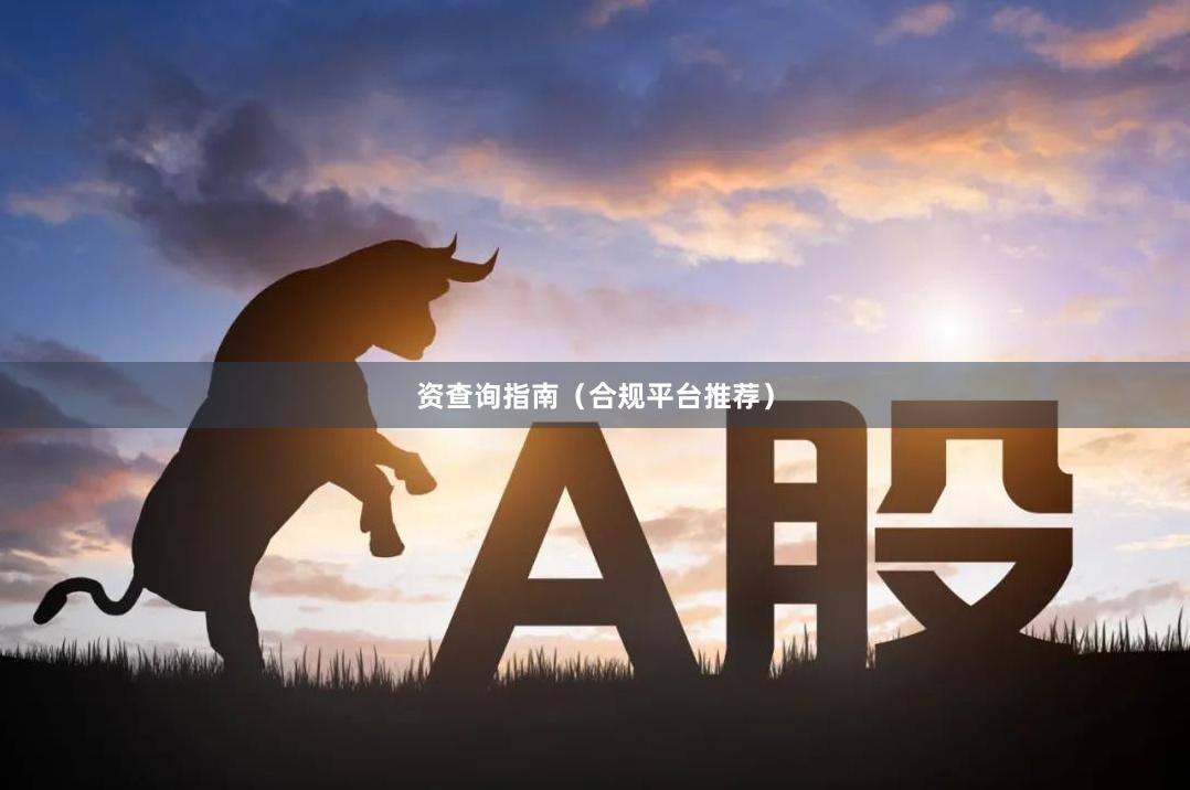 资查询指南（合规平台推荐）