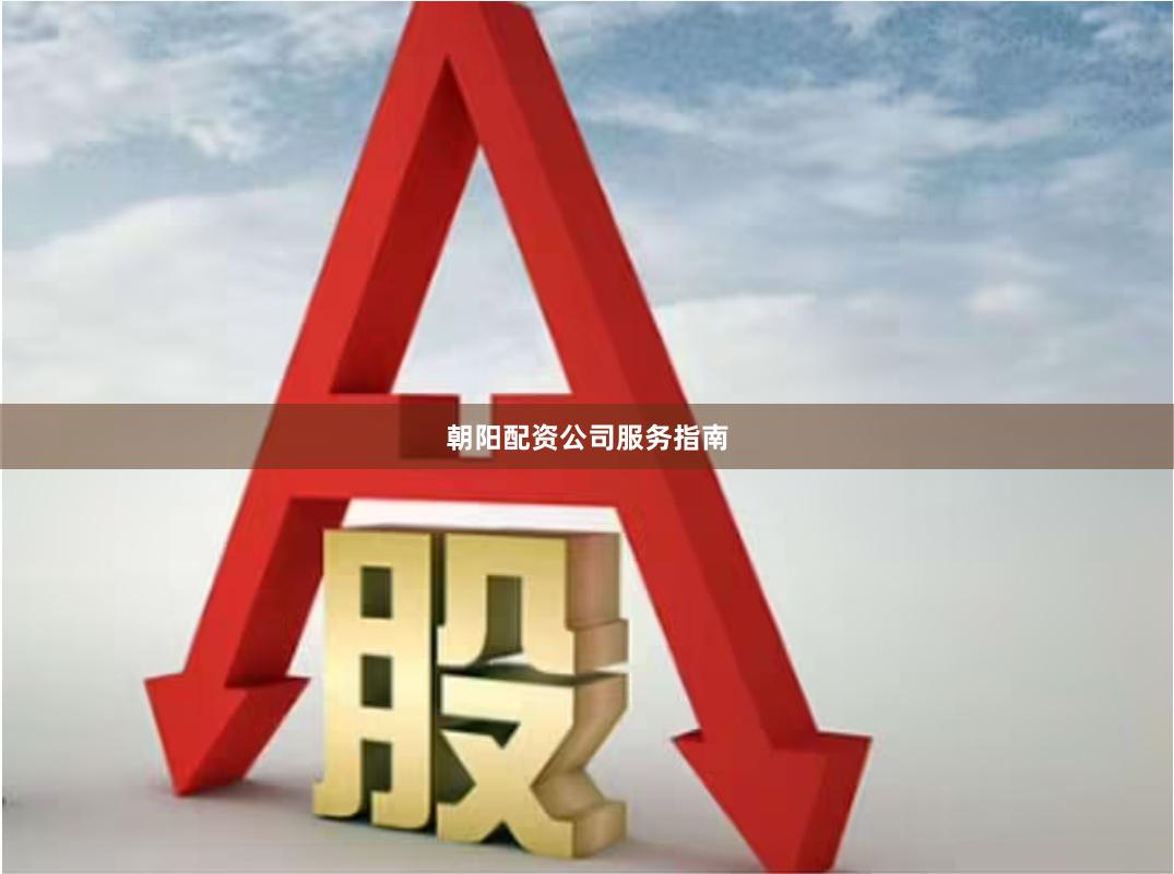 朝阳配资公司服务指南