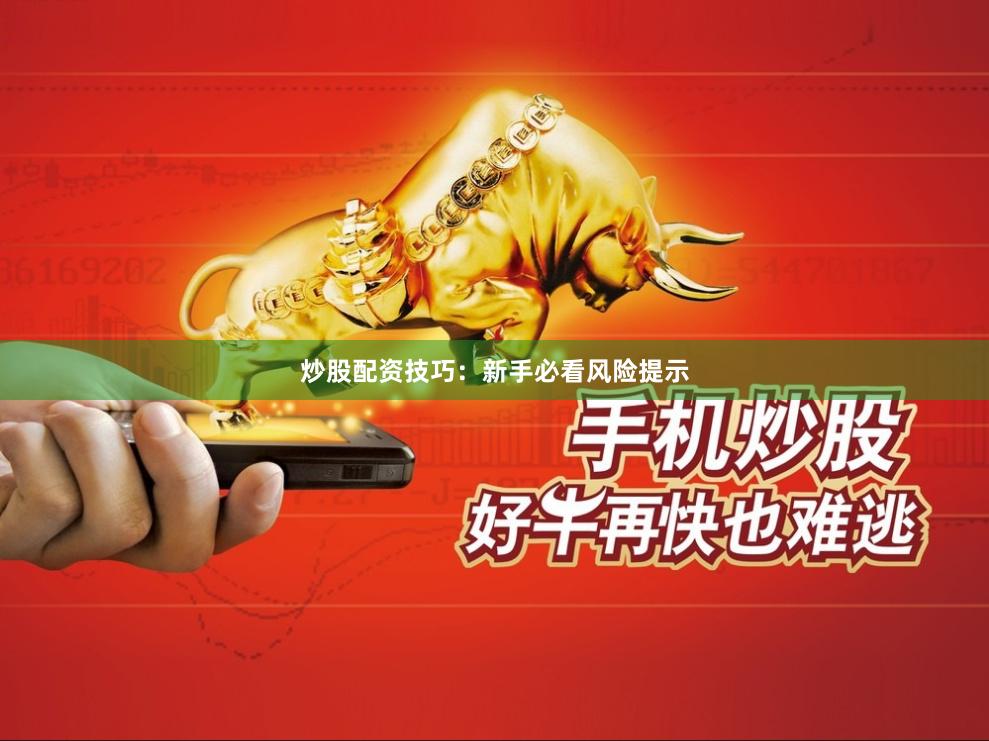 炒股配资技巧：新手必看风险提示